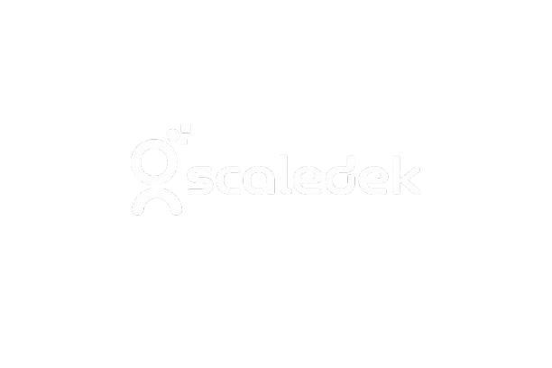 Scaledek digital agency logo